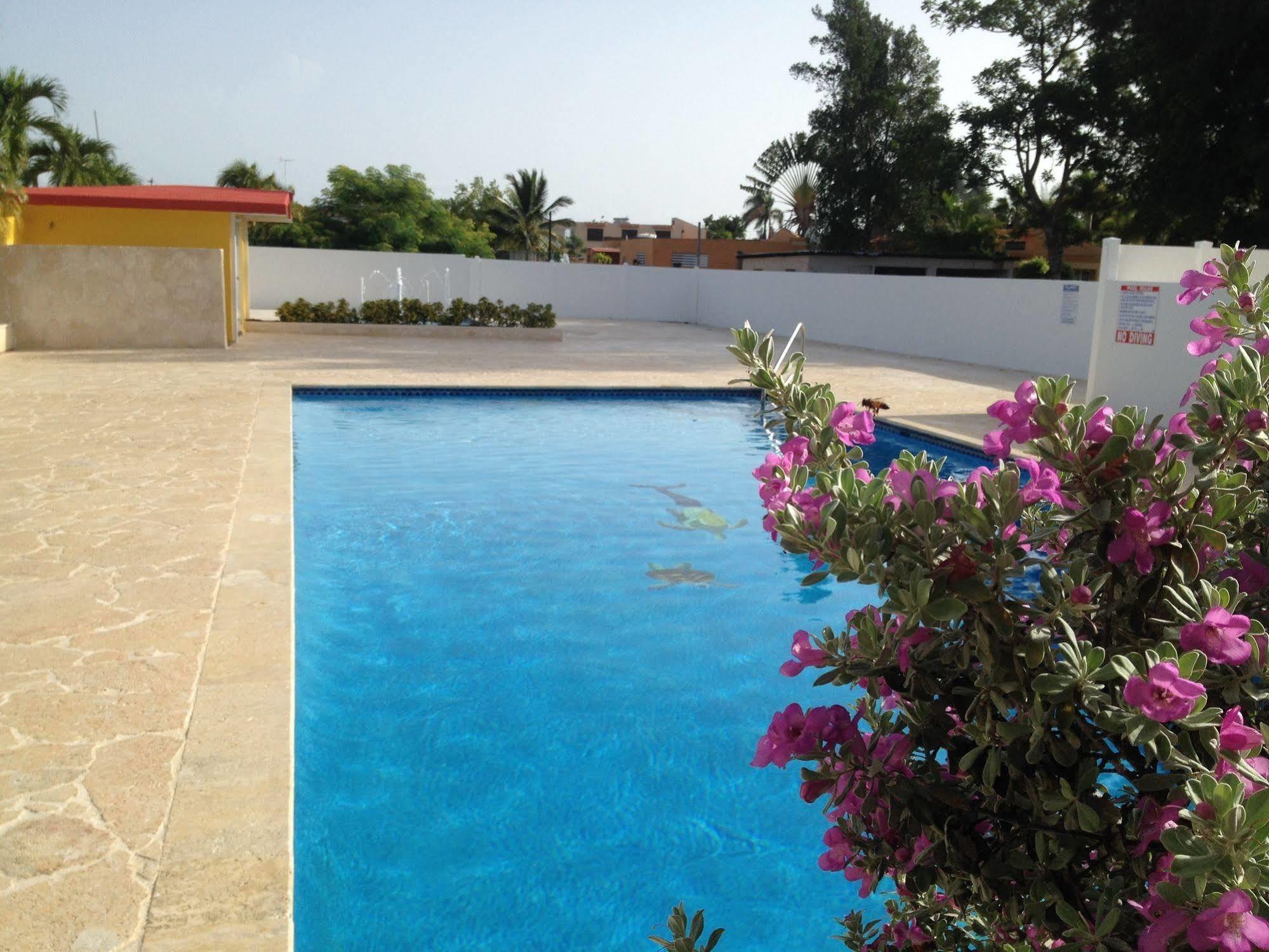 Arecibo Inn Ngoại thất bức ảnh